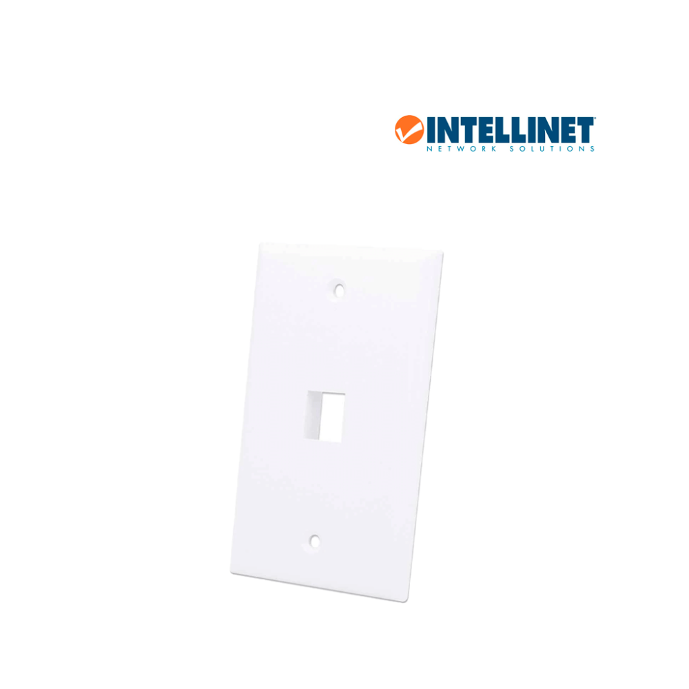 163286 ITL1630001 INTELLINET 163286 - TAPA (FACEPLATE) / 1 PERFOR