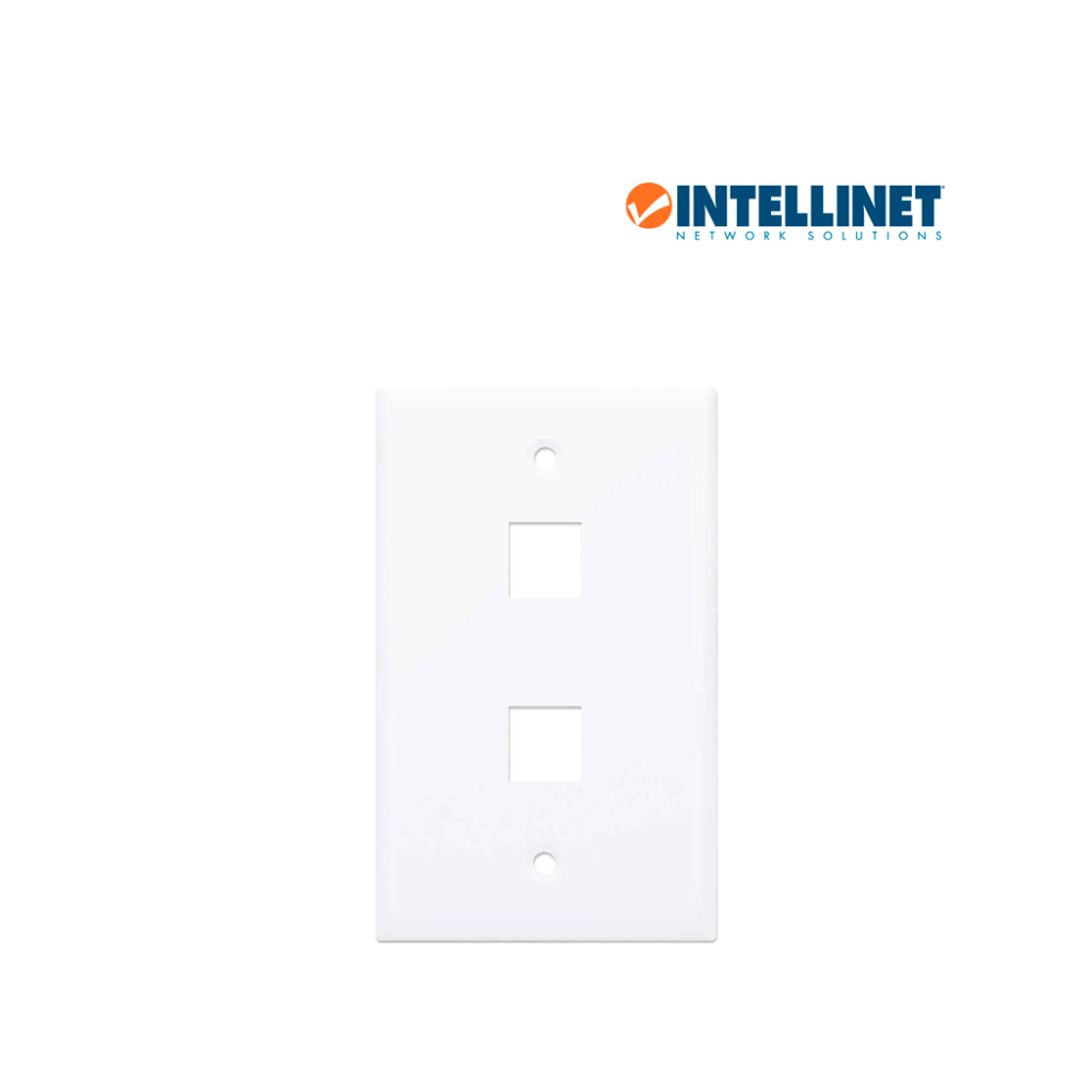 163293 ITL1630002 INTELLINET 163293 - TAPA (FACEPLATE) / 2 PERFOR